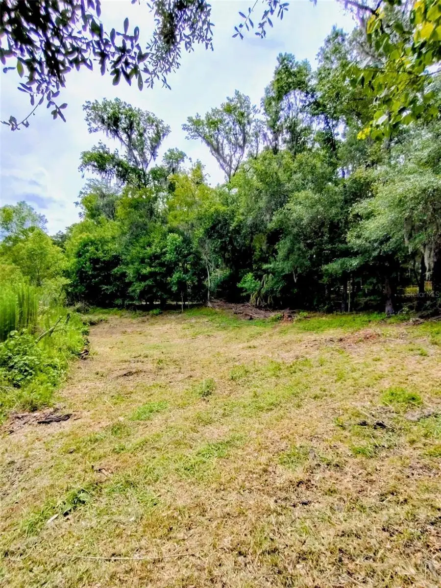 Fitzhugh Avenue, Brooksville, FL 34601 - #2