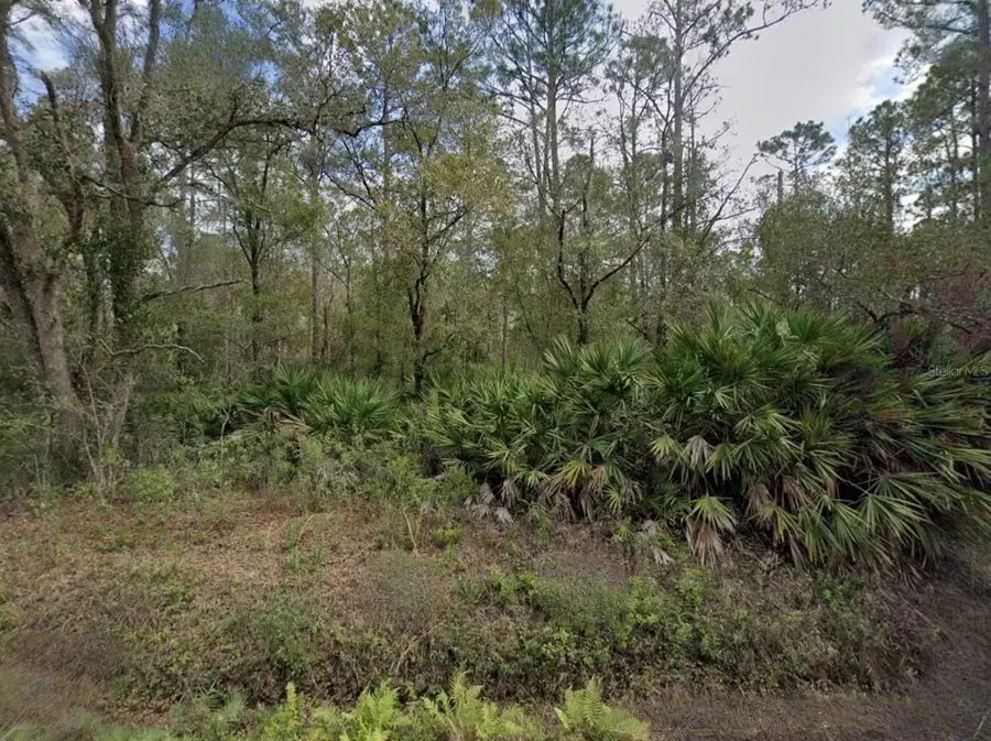 9740 Pocklington Avenue, Hastings, FL 32145 - #3