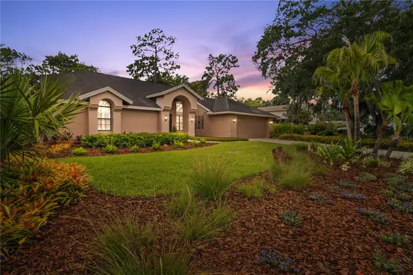 3372 Brian Road S, PALM HARBOR, FL 34685