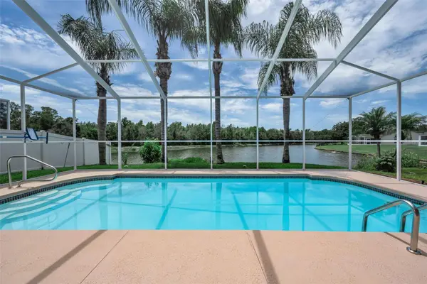 27432 Breakers Drive, WESLEY CHAPEL, FL 33544