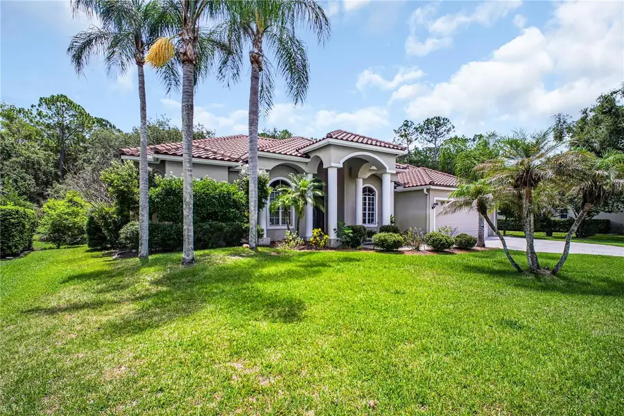 4931 Turtle Creek Trail, Oldsmar, FL 34677 - #3