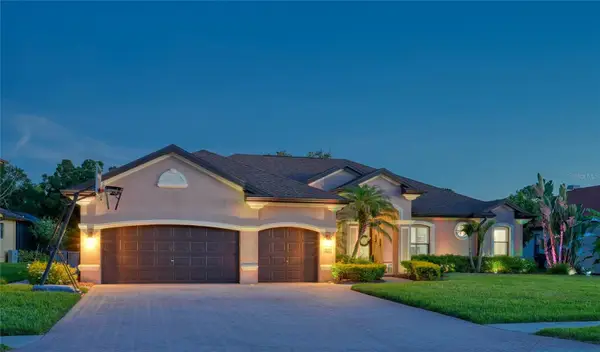 12512 Eagles Entry Drive, ODESSA, FL 33556