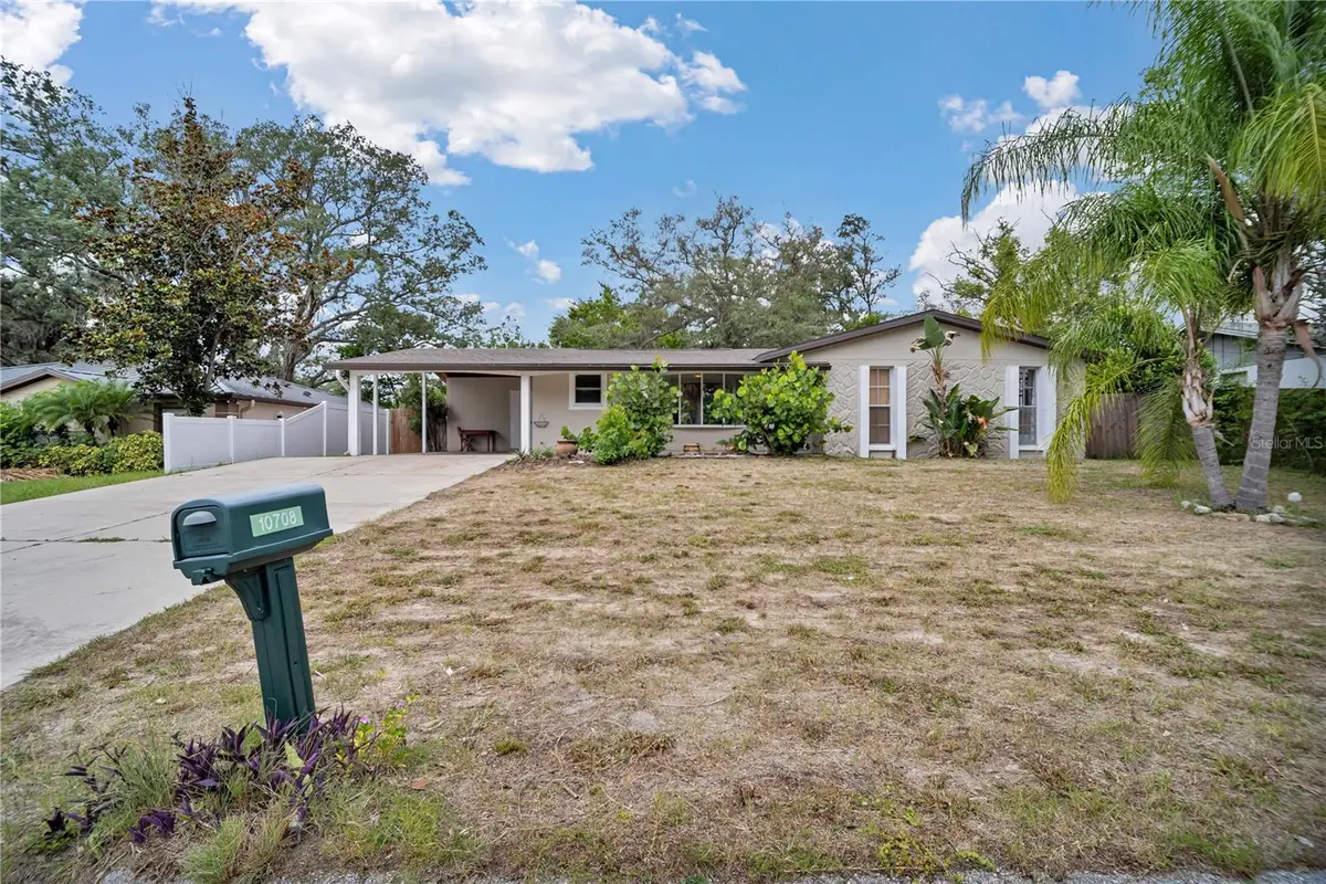 10708 N Ojus Drive, Tampa, FL 33617 - #1