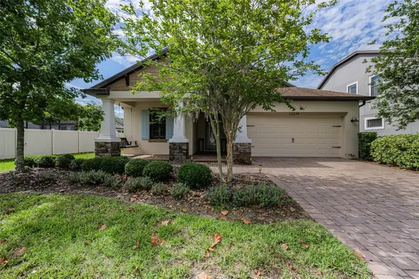 12334 Lake Blanche Drive, ODESSA, FL 33556