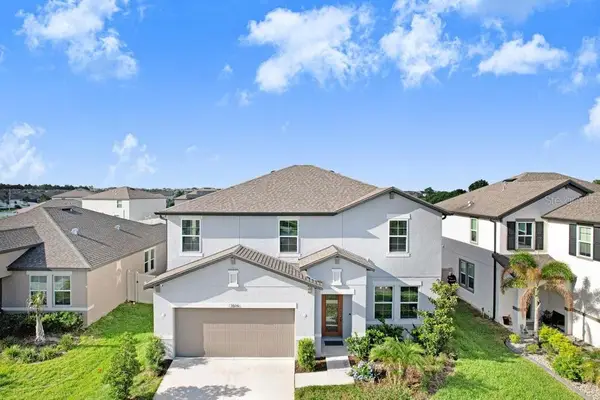 13514 Palmera Vista Drive, RIVERVIEW, FL 33579