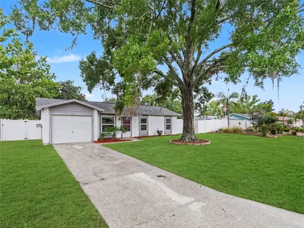 22630 Newfield Court, LAND O LAKES, FL 34639