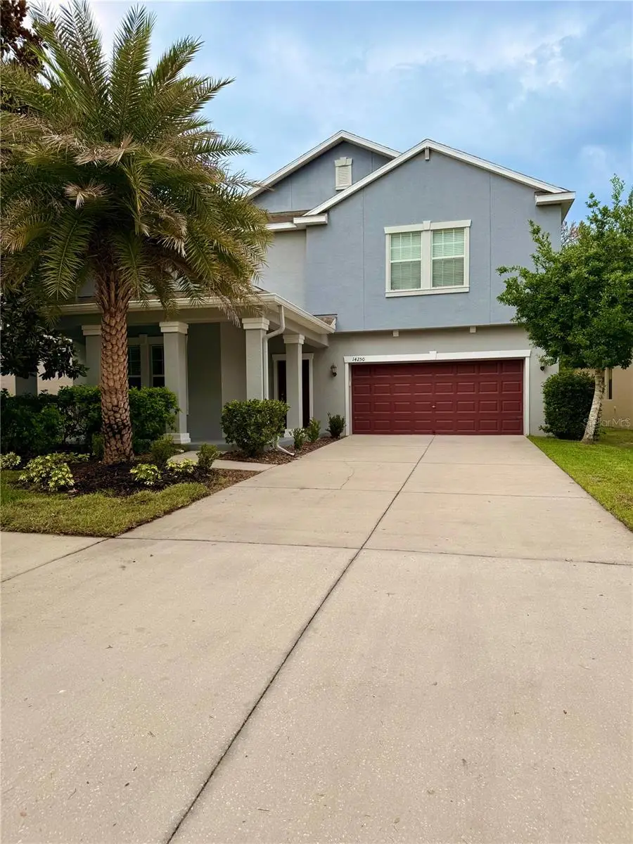 14250 Blue Dasher Drive, Riverview, FL 33569 - #1