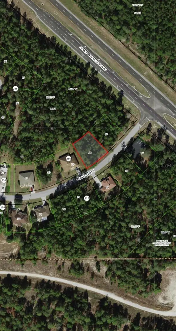 111 Grass Street, HOMOSASSA, FL 34446