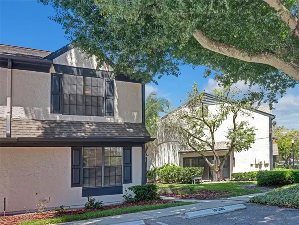 16596 Brigadoon Drive, TAMPA, FL 33618