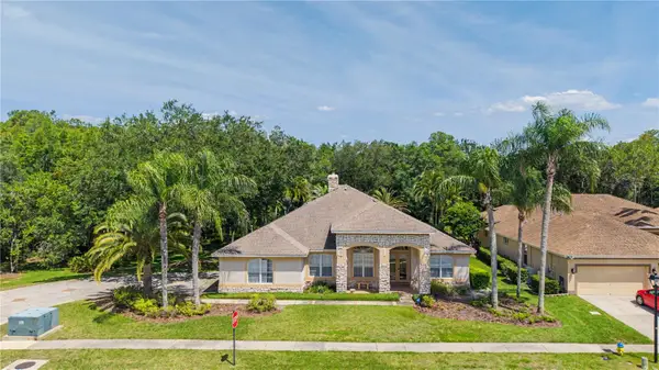 18615 Chemille Drive, LUTZ, FL 33558