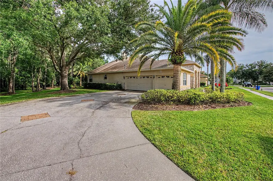 18615 Chemille Drive, Lutz, FL 33558 - #2