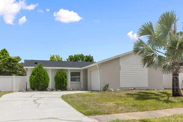 13826 Pathfinder Drive, TAMPA, FL 33625