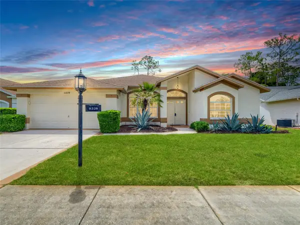 11228 Windrush Circle, HUDSON, FL 34667