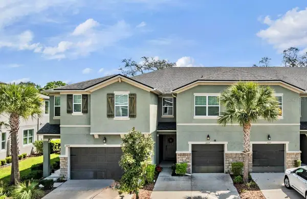 14229 Damselfly Drive, TAMPA, FL 33625