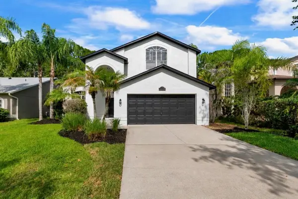 13115 Royal George Avenue, ODESSA, FL 33556