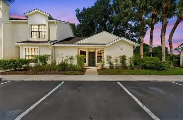 5100 Burchette Road #3207, TAMPA, FL 33647