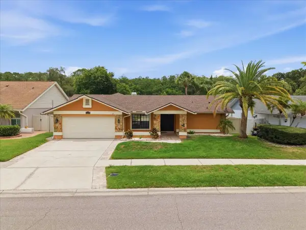 11803 Sweetpea Court, TAMPA, FL 33635