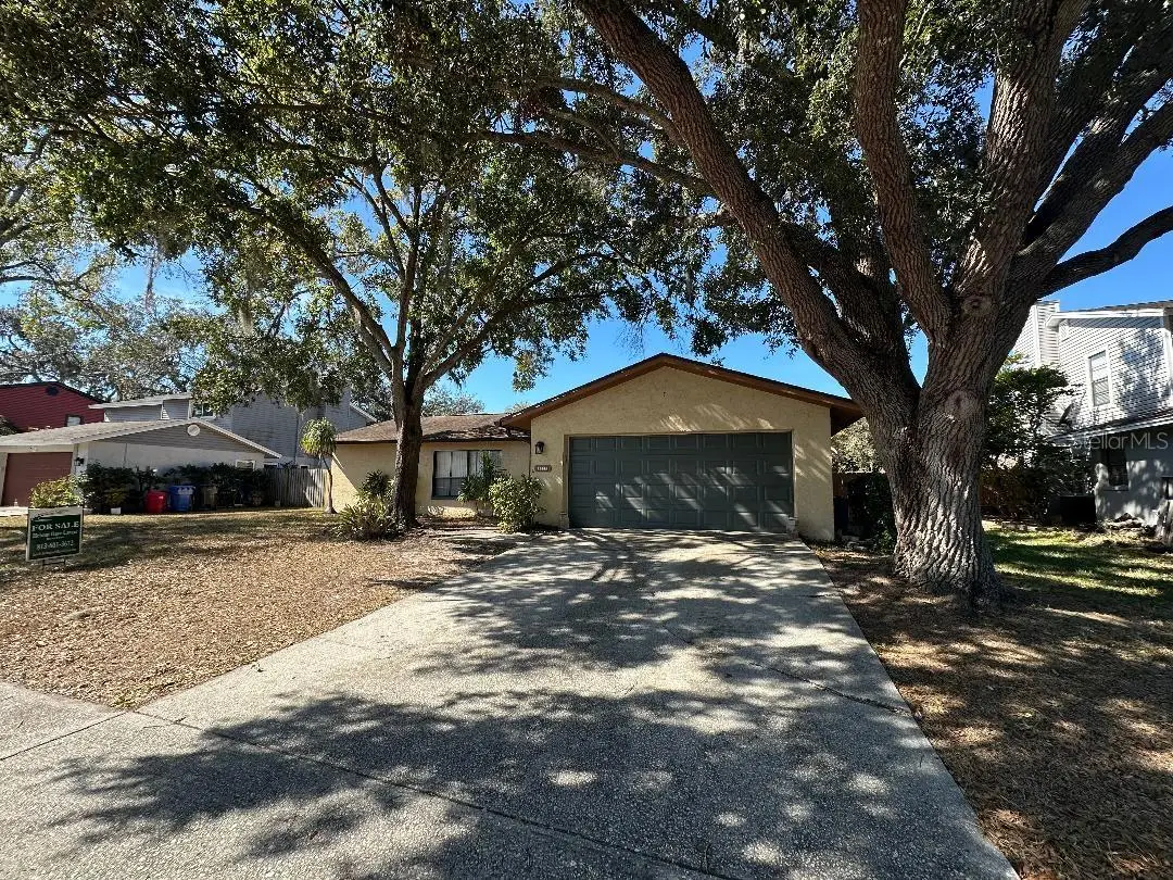 4305 Ellenville Place, Valrico, FL 33596 - #1