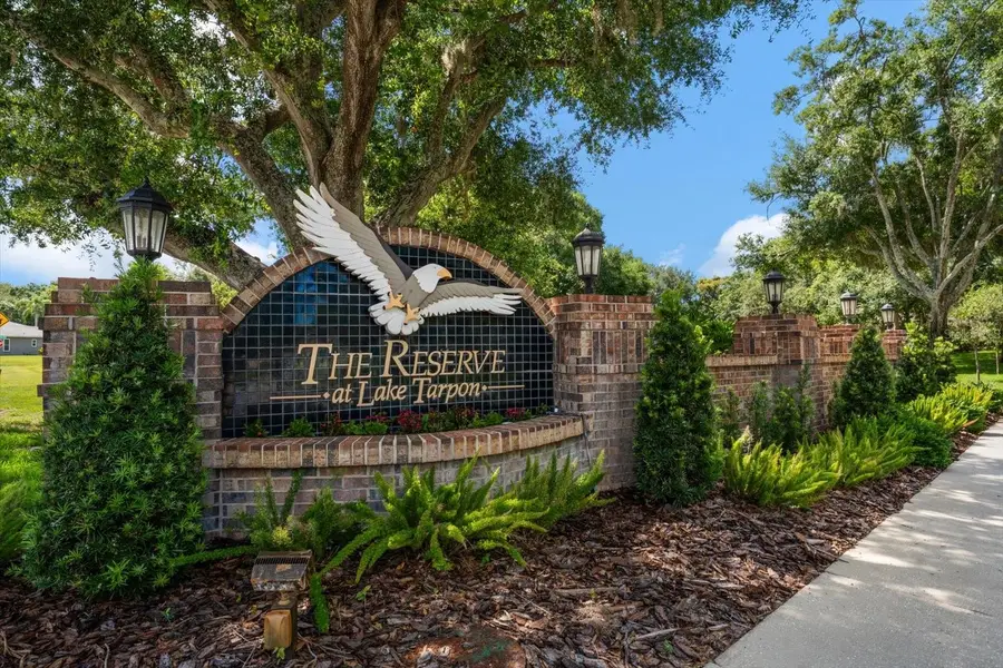 3909 Tarian Court, Palm Harbor, FL 34684 - #2
