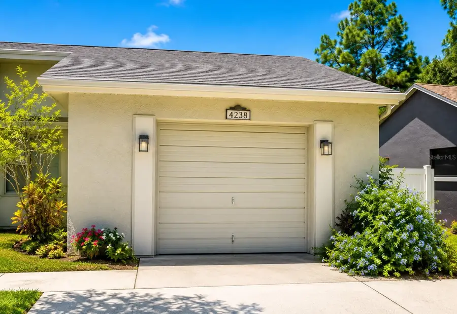 4238 Pinefield Avenue, Holiday, FL 34691 - #3