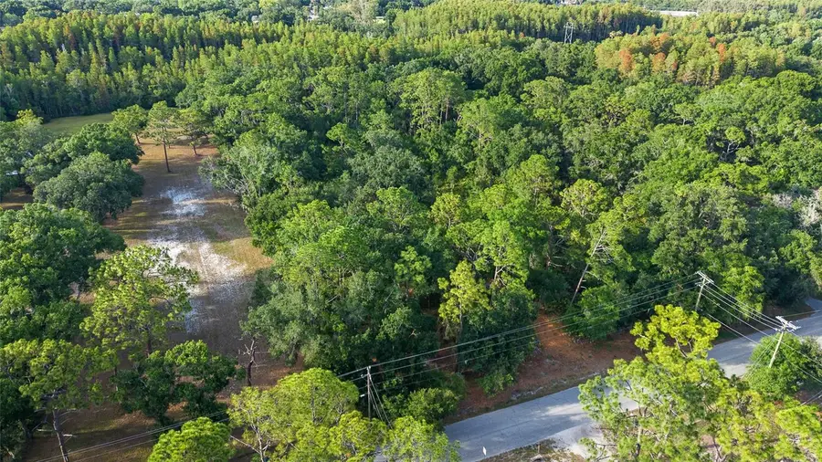 Lake Le Clare Road, Lutz, FL 33558 - #3