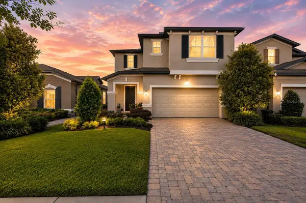19948 Stone Pine Circle, LUTZ, FL 33558