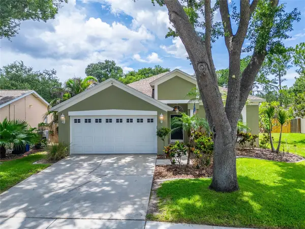 11514 Wellman Drive, RIVERVIEW, FL 33578