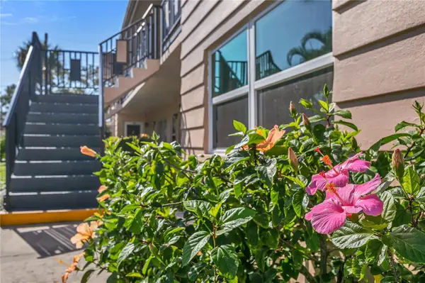 216 36th Avenue N #202B, ST PETERSBURG, FL 33704