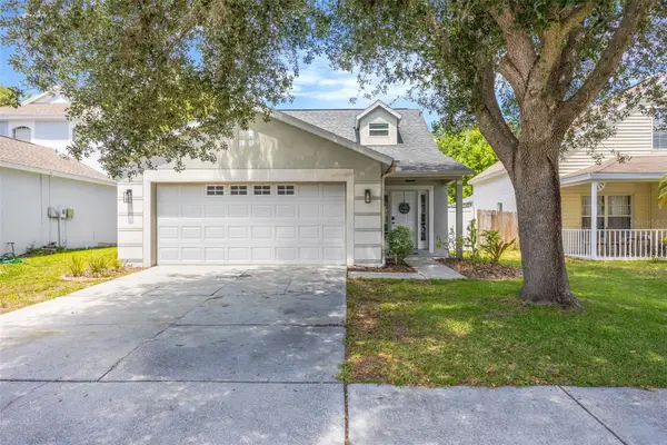 8427 Hawbuck Street, TRINITY, FL 34655