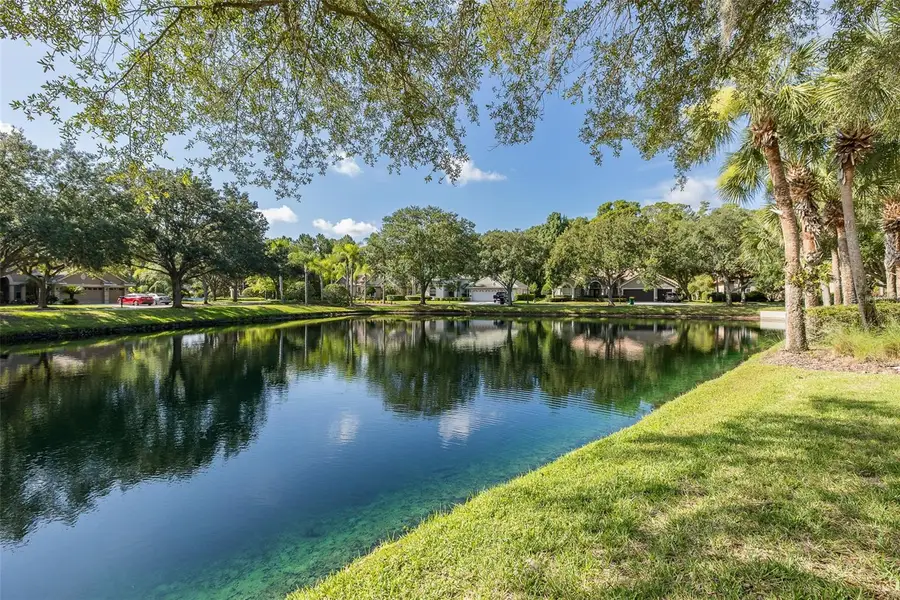 2880 Waters Edge Road, Palm Harbor, FL 34685 - #2