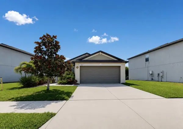 5143 White Chicory Drive, APOLLO BEACH, FL 33572