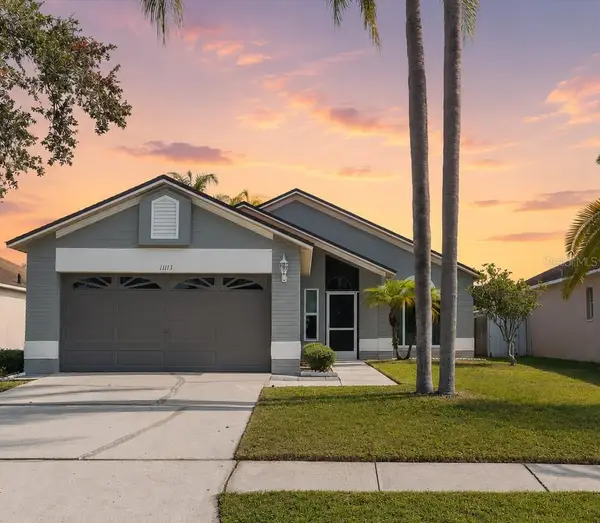 11113 Bloomington Drive, TAMPA, FL 33635
