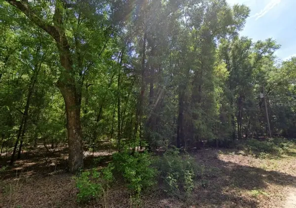 Ne Willow Bend Terrace, LEE, FL 32059