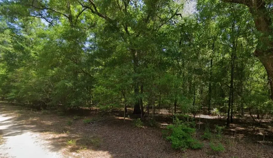 Ne Willow Bend Terrace, Lee, FL 32059 - #2