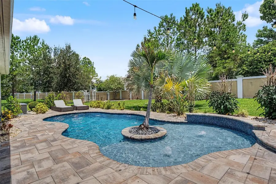 11882 Frost Aster Drive, Riverview, FL 33579 - #2