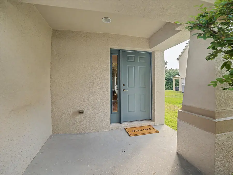 11620 Hammocks Glade Drive, Riverview, FL 33569 - #3