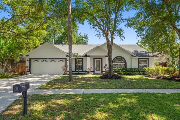 5423 Windbrush Drive, TAMPA, FL 33625