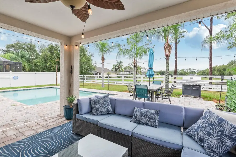 20744 Orchardtown Drive, Land O Lakes, FL 34638 - #3