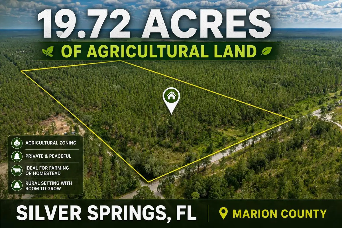 NE 90th Street Road, Fort McCoy, FL 32134 - #1