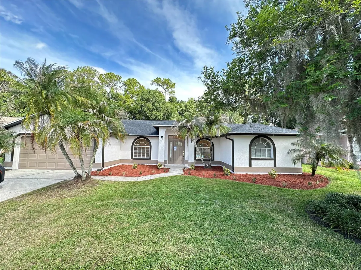 26035 Loblolly Lane, Land O Lakes, FL 34639 - #1