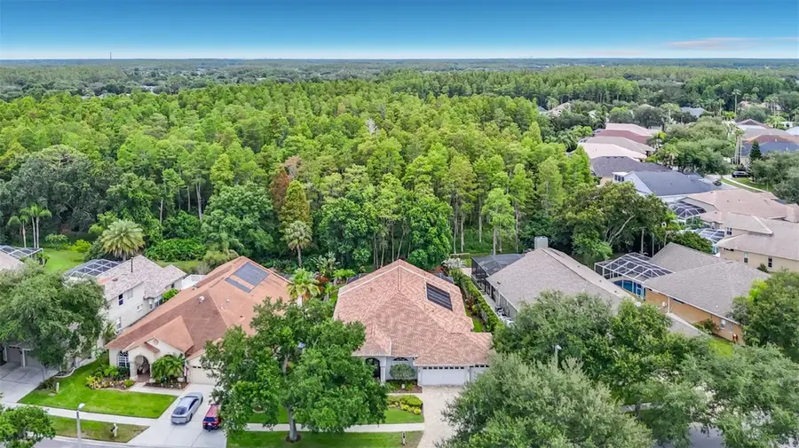 4706 Mirabella Place, Lutz, FL 33558 - #3