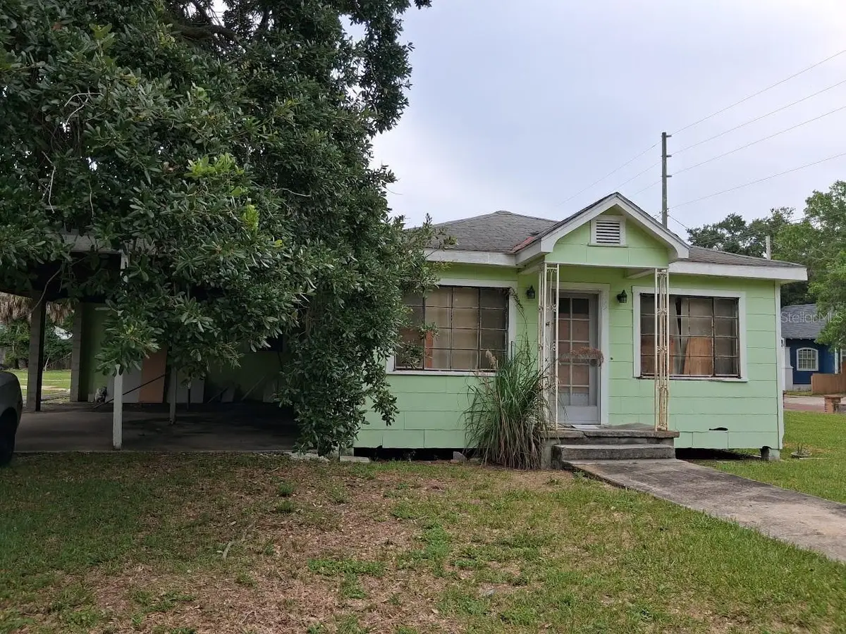 217 Banana Street, Tarpon Springs, FL 34689 - #1