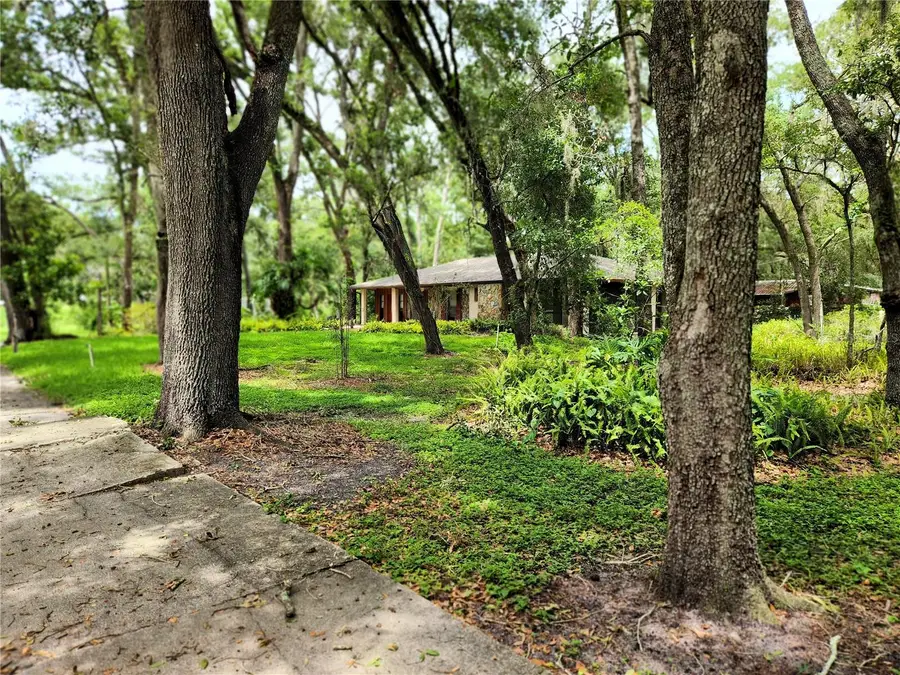 11318 Brightwood Drive, Seffner, FL 33584 - #2