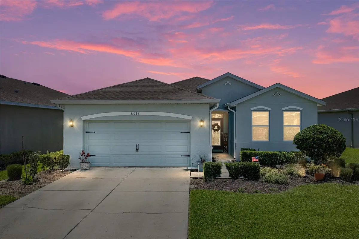 31785 Tansy Bend, Wesley Chapel, FL 33545 - #1