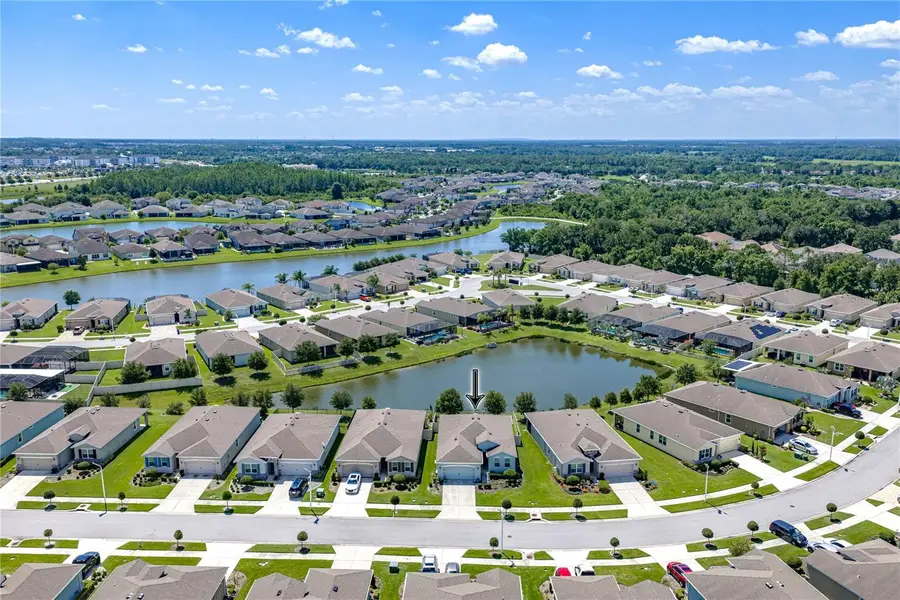 31785 Tansy Bend, Wesley Chapel, FL 33545 - #2