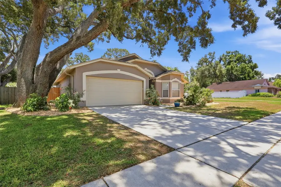 5724 Erhardt Drive, Riverview, FL 33578 - #2