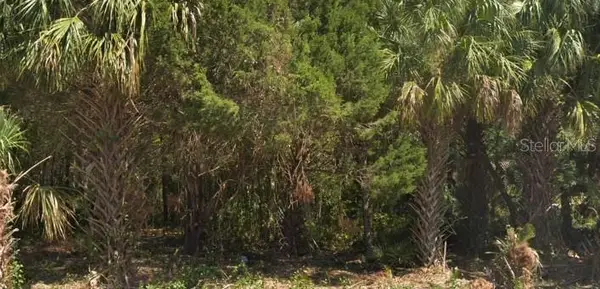 4030 S Kings Avenue, HOMOSASSA, FL 34446