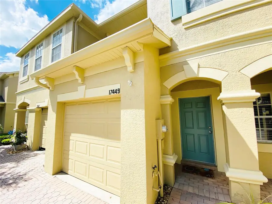 17449 Stinchar Drive, Land O Lakes, FL 34638 - #3