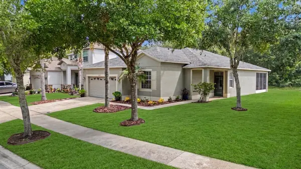 10634 Lucaya Drive, TAMPA, FL 33647