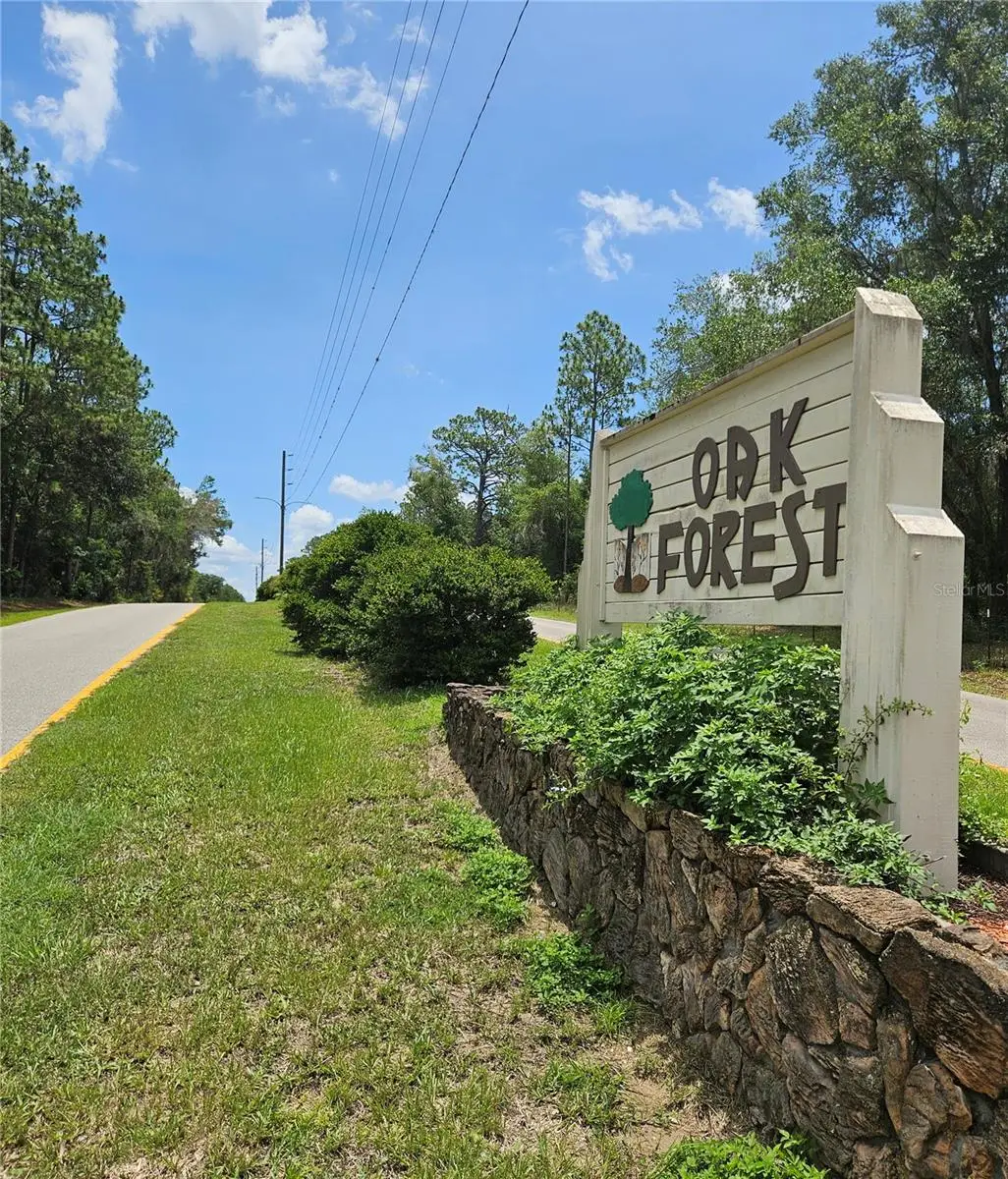 12350 S Elm Point, Floral City, FL 34436 - #1